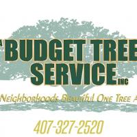 A Budget Tree Service Logo