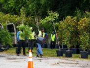 Arbor Day Tree giveaway