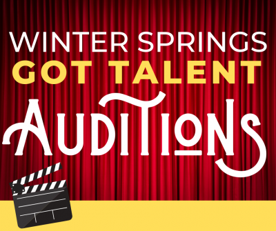 WS Got Talent Auditions Icon