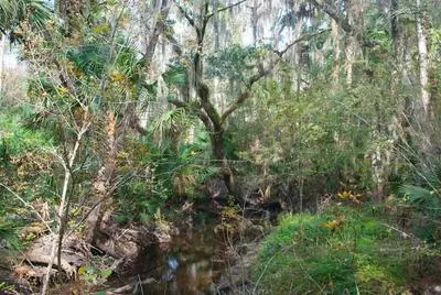 bear-creek-nature-trail-690x462.jpg