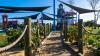 Torcaso Park- Playground 2
