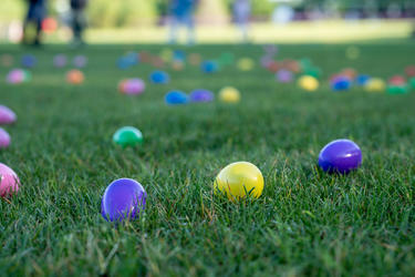 Brightly colored plastic Easter eggs scattered across a grassy field, with people blurred in the background, suggesting an outdoor community egg hunt.