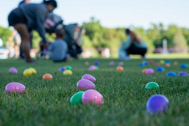 Brightly colored plastic Easter eggs scattered across a grassy field, with people blurred in the background, suggesting an outdoor community egg hunt.